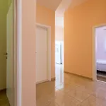 Lukic Apartment *